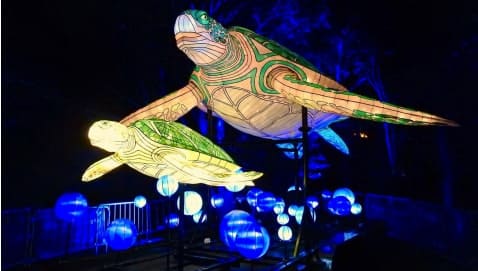 Taronga Centre Celebrates Vivid Sydney With Illuminated Dining Experience