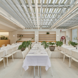 Courtyard at Industry Beans, Newstead, Brisbane